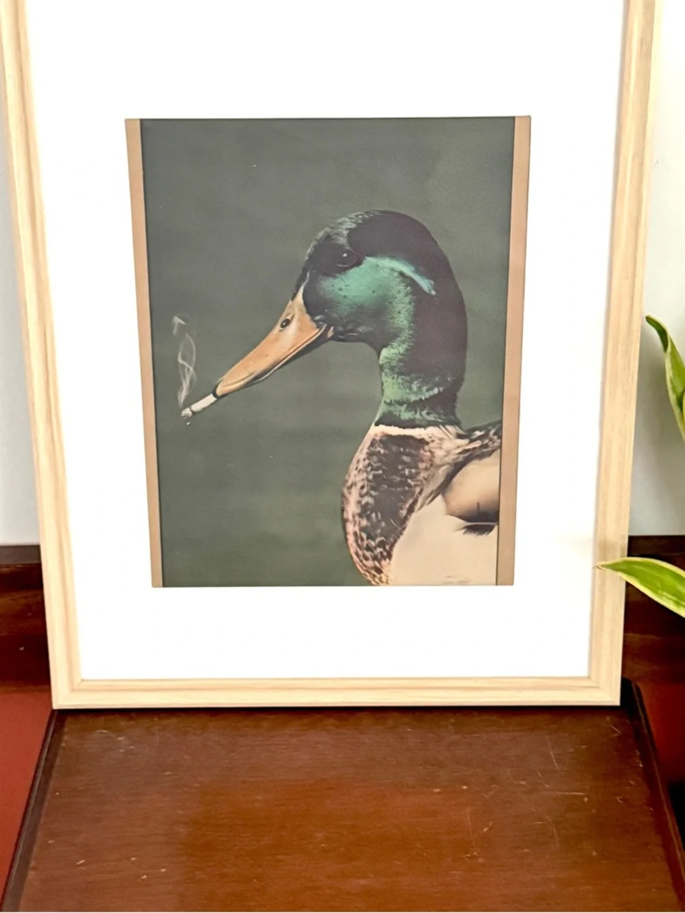 Mallard Duck Smoking a Cigarette Vintage Style Canvas Art Print Faux Wood Frame